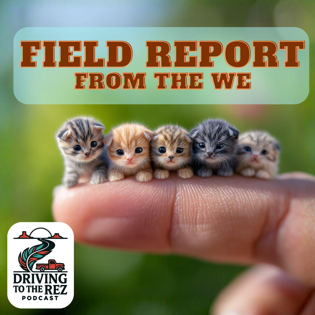 image for this article