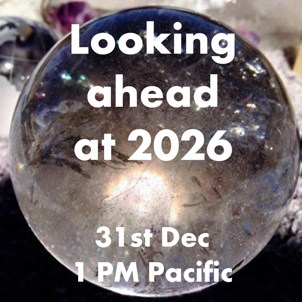 Ticket for the Live Zoom Call - Looking at 2026 with Inelia Benz