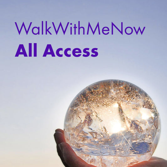 WWMN Access